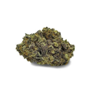 buy Purple Space Cookie strain online