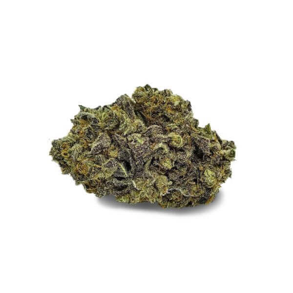 buy Purple Space Cookie strain online