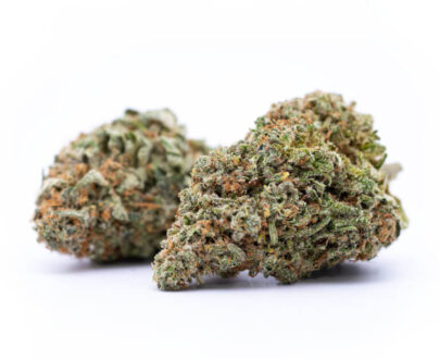 Buy White Rhino weed strain online canada