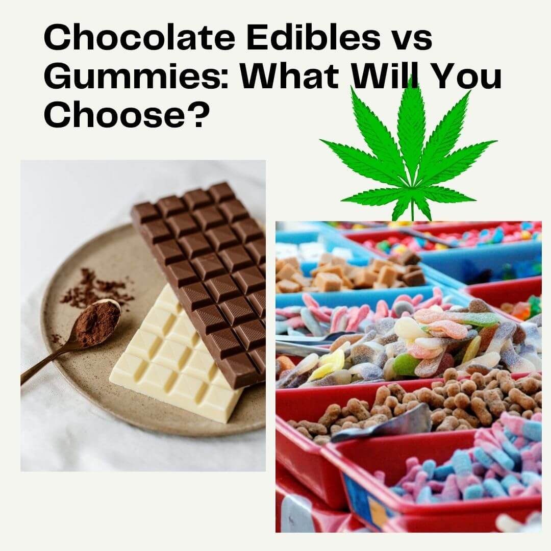 Chocolate Edibles vs Gummies: What Will You Choose?