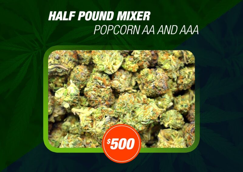 order bc bud online