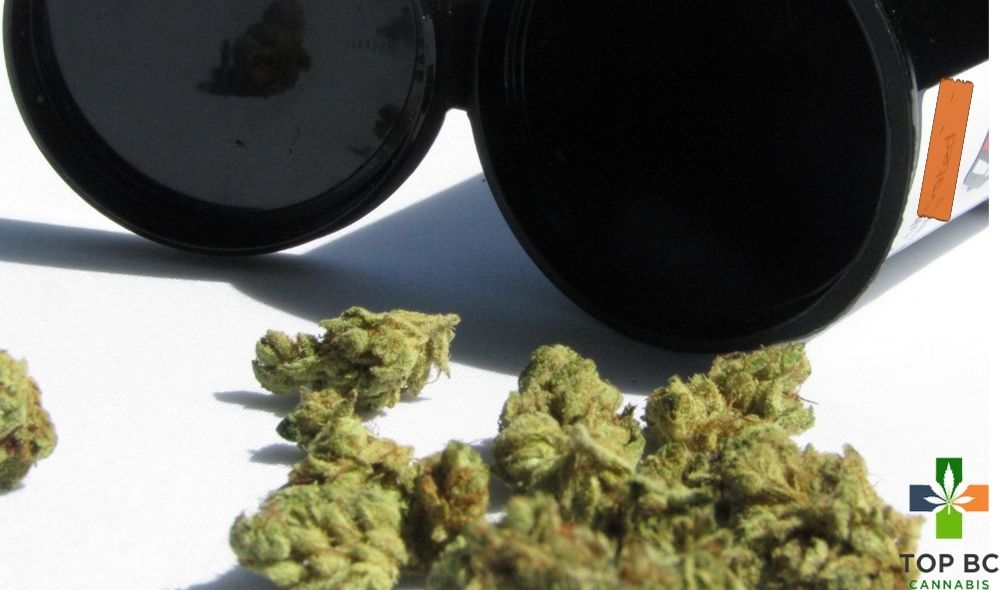 How to Read Labels of Marijuana to Understand its Quality and Constituents?