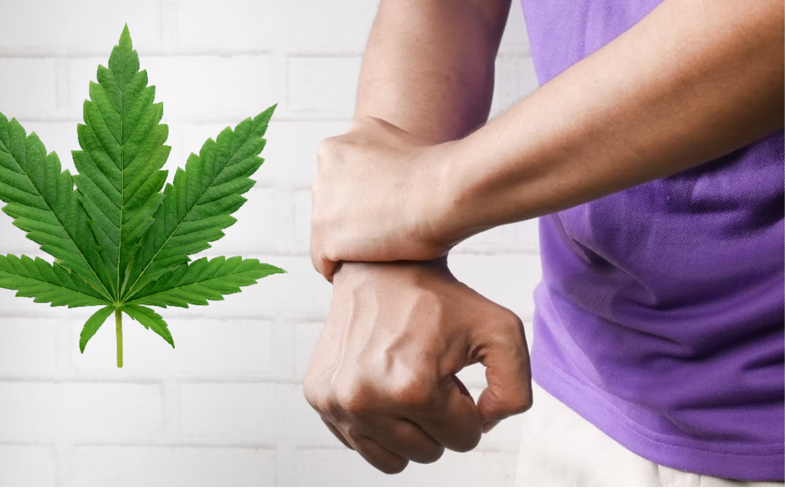 7 Cannabis Strains that Help Arthritis and Inflammation